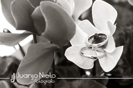 Fotografia de Juanjo Nieto Fotgrafo - Galeria Fotografica: Bodas - Foto: 