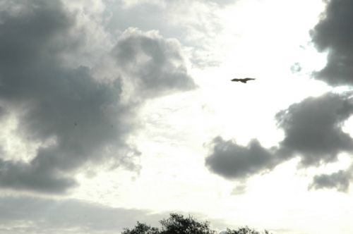 Fotografia de Tanya - Galeria Fotografica: Safari Madrid - Foto: 