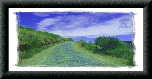 Fotografia de OSCARPIETRO - Galeria Fotografica: IMAGENES DE MI TIERRA 2 - Foto: 