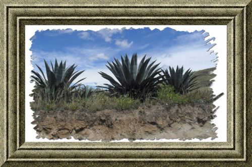 Fotografia de OSCARPIETRO - Galeria Fotografica: IMAGENES DE MI TIERRA 2 - Foto: 