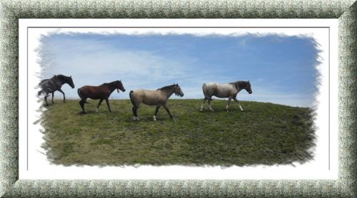 Fotografia de OSCARPIETRO - Galeria Fotografica: IMAGENES DE MI TIERRA 2 - Foto: 