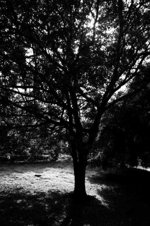 Fotografia de pupi - Galeria Fotografica: blanco y negro - Foto: 