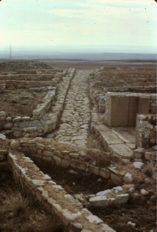 Fotografia de Carlos Rubio - Galeria Fotografica: Cabezo de Alcal� - Foto: 