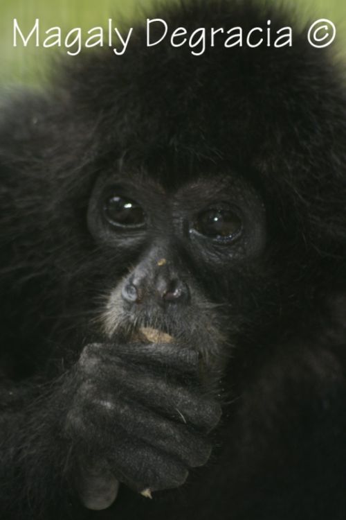 Fotografia de Foto Diseo Degracia - Galeria Fotografica: Inocencia - Foto: Gloton