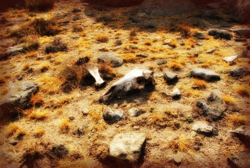 Fotografia de Sangi - Galeria Fotografica: Photoshop - Foto: 