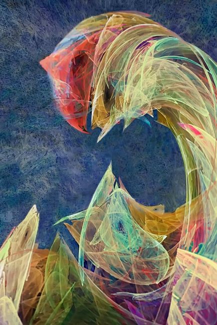 Fotografia de Rafael Motaniz fotografias - Galeria Fotografica: Biodeconstructivos - Foto: 