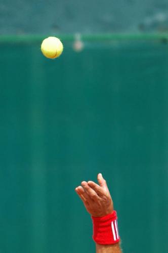 Fotografia de francisco len - Galeria Fotografica: copa davis - Foto: el  nico