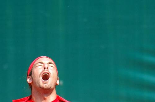 Fotografia de francisco len - Galeria Fotografica: copa davis - Foto: el  nico