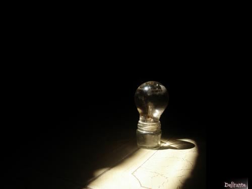 Fotografia de d.lirant - Galeria Fotografica: primer plano (?) - Foto: idea!