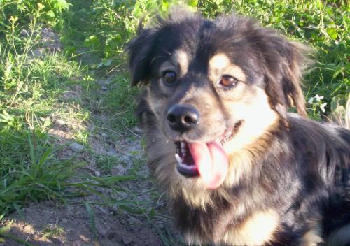 Fotografia de Yami - Galeria Fotografica: Punta a Punta - Foto: Pequeo