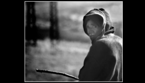 Fotografia de Daniel Sanz - Galeria Fotografica: Por la carretera - Foto: Por la carretera