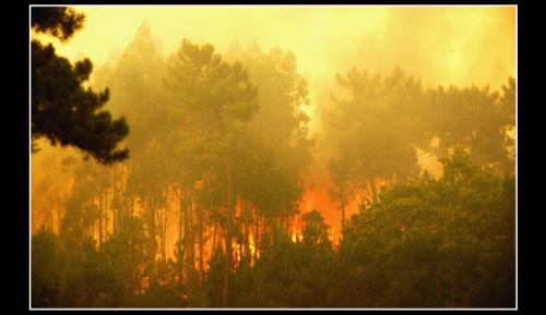 Fotografia de Daniel Sanz - Galeria Fotografica: Galiza,las dos caras. - Foto: Galiza,las dos caras