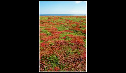 Fotografia de Daniel Sanz - Galeria Fotografica: Galiza,las dos caras. - Foto: Galiza,las dos caras