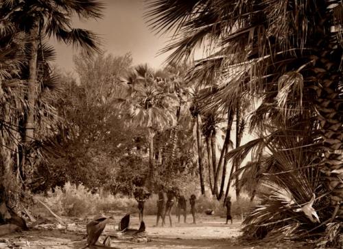 Fotografia de Fotografia Benjamin Rennicke - Galeria Fotografica: los Nomados de la Namib - Foto: kids throwing palm nuts