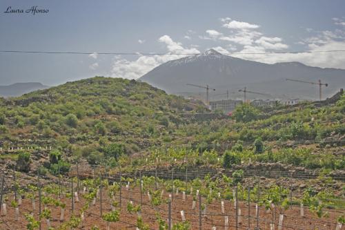 Fotografia de Quis - Galeria Fotografica: Icod de los Vinos - Foto: El Teide, desde las Charnecas (icod)							
