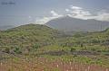 Fotos de Quis -  Foto: Icod de los Vinos - El Teide, desde las Charnecas (icod)							