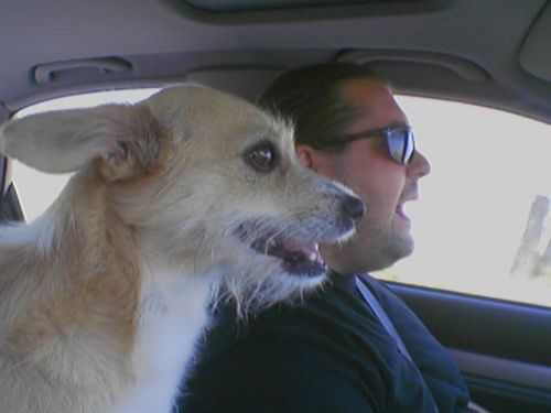 Fotografia de ynies - Galeria Fotografica: atardecer - Foto: simbiosis