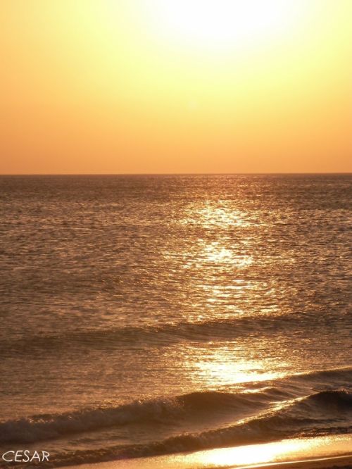 Fotografia de CESAR - Galeria Fotografica: JC - Foto: 