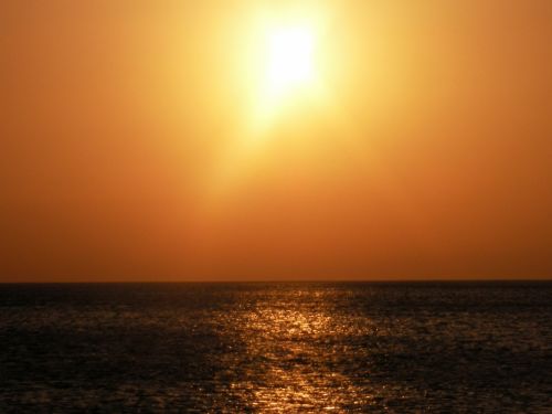 Fotografia de CESAR - Galeria Fotografica: JC - Foto: 