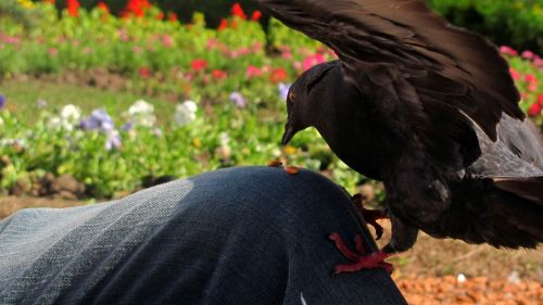 Fotografia de Lucas Basualdo Photographier - Galeria Fotografica: Autres - Foto: 