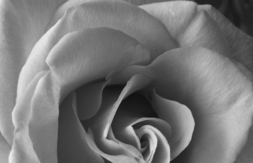 Fotografia de isabel - Galeria Fotografica: viajes - Foto: rosa 