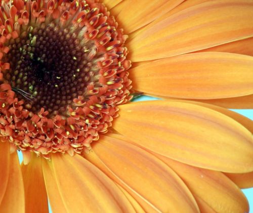 Fotografia de isabel - Galeria Fotografica: viajes - Foto: 