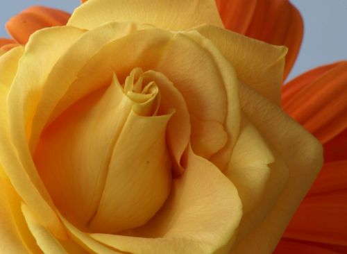 Fotografia de isabel - Galeria Fotografica: viajes - Foto: 