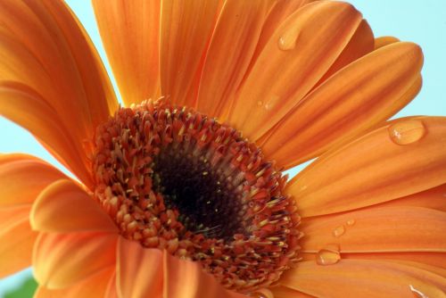 Fotografia de isabel - Galeria Fotografica: viajes - Foto: 