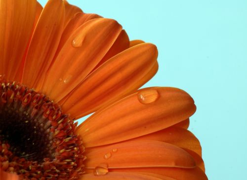 Fotografia de isabel - Galeria Fotografica: viajes - Foto: 