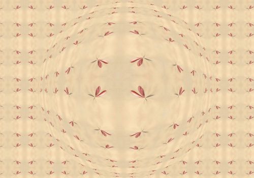 Fotografia de Tfol Quetglas - Galeria Fotografica: Abstraccin - Foto: 