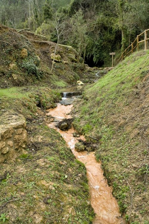 Fotografia de Nstor Gutirrez - Galeria Fotografica: Naturaleza - Foto: 