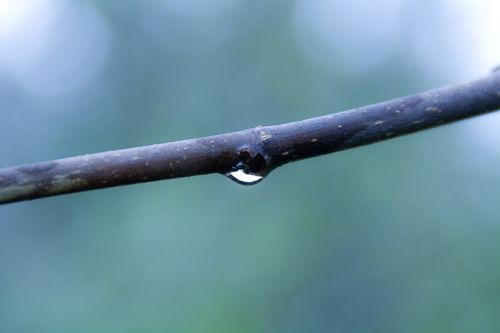 Fotografia de Nstor Gutirrez - Galeria Fotografica: Naturaleza - Foto: 