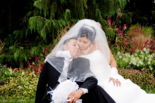 Fotografia de FOTO GUTIERREZ - Galeria Fotografica: COOL GRAPHIC STUDIO - Foto: 