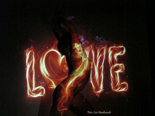 Fotografia de LN - Galeria Fotografica: Proyecciones - Foto: 