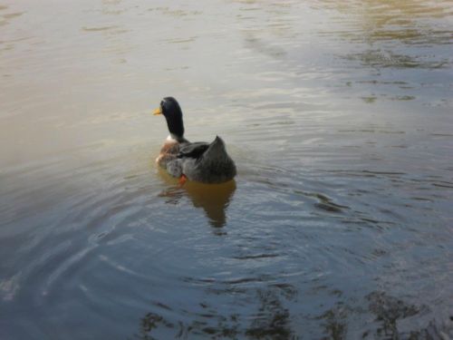 Fotografia de kelly - Galeria Fotografica: FOTOS DEL ALMA - Foto: 