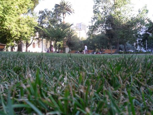 Fotografia de kelly - Galeria Fotografica: FOTOS DEL ALMA - Foto: 