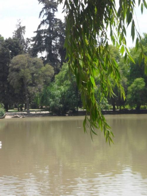 Fotografia de kelly - Galeria Fotografica: FOTOS DEL ALMA - Foto: 