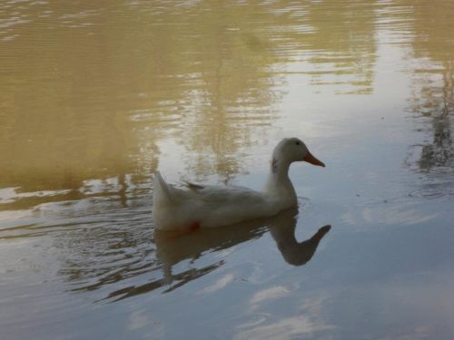 Fotografia de kelly - Galeria Fotografica: FOTOS DEL ALMA - Foto: 