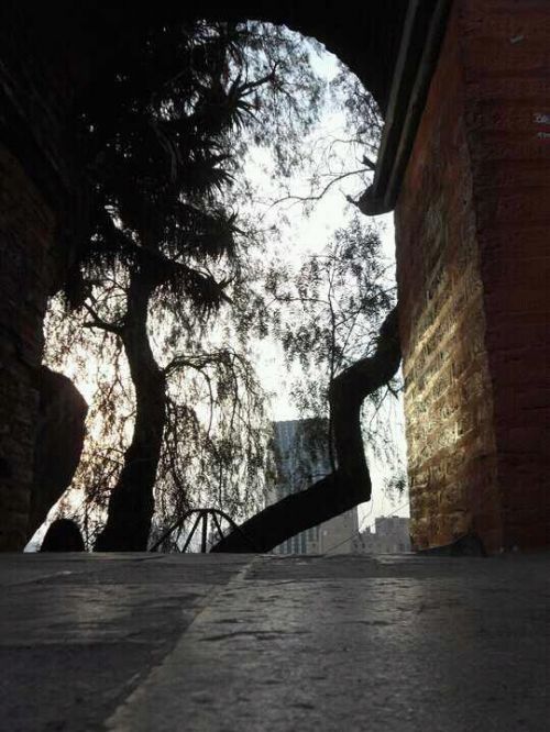 Fotografia de kelly - Galeria Fotografica: FOTOS DEL ALMA - Foto: 