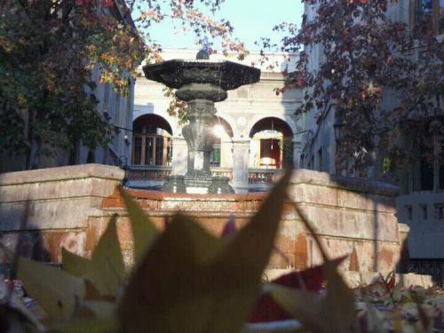 Fotografia de kelly - Galeria Fotografica: FOTOS DEL ALMA - Foto: 