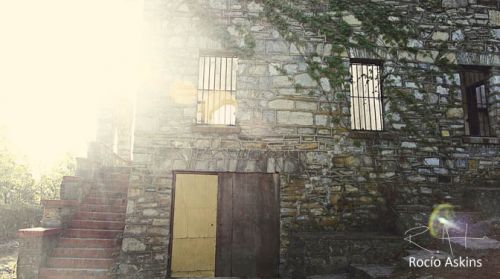 Fotografia de R. Askins - Galeria Fotografica: Nature - Foto: 