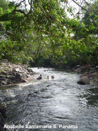 Fotografia de Annie - Galeria Fotografica: Asi es Mi Panam - Foto: En las Aguas del Zarat