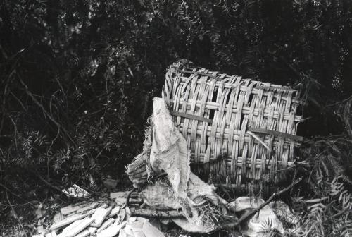 Fotografia de valkiria - Galeria Fotografica: b/n - Foto: mala carga