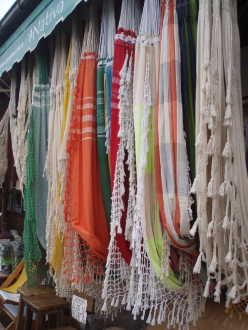 Fotografia de alma - Galeria Fotografica: tigre 2 - Foto: 