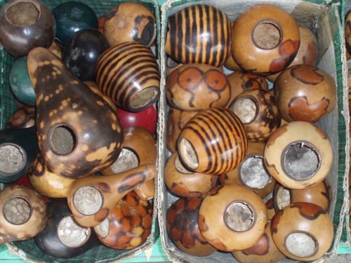 Fotografia de alma - Galeria Fotografica: tigre 2 - Foto: 