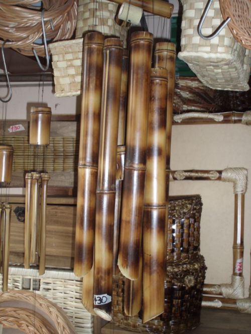 Fotografia de alma - Galeria Fotografica: tigre 2 - Foto: 