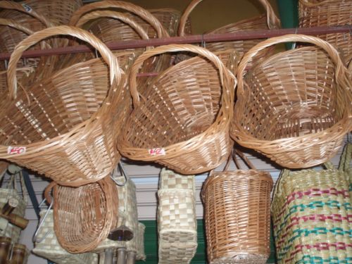 Fotografia de alma - Galeria Fotografica: tigre 2 - Foto: 