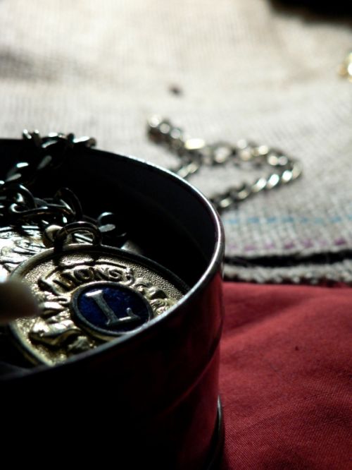 Fotografia de yaddok - Galeria Fotografica: macros - Foto: 