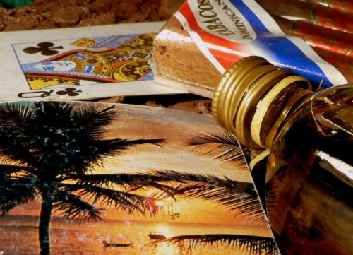 Fotografia de yaddok - Galeria Fotografica: macros - Foto: 