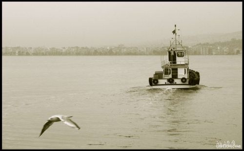 Fotografia de Alberto Ponte Reines Portfolio - Galeria Fotografica: Grecia, Italia, Egipto, etc - Foto: Puerto Izmir